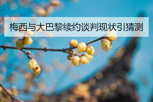 mei-xi-yu-da-ba-li-xu-yue-tan-pan-xian-zhuang-yin-cai-ce-2-173.jpg