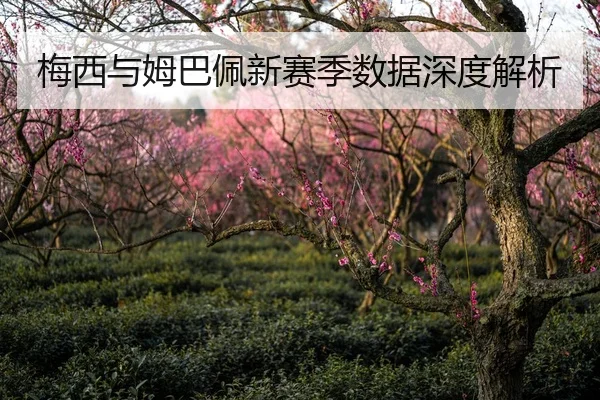 梅西与姆巴佩新赛季数据深度解析