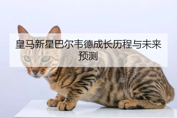 皇马新星巴尔韦德成长历程与未来预测