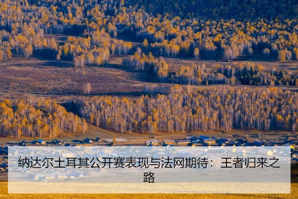 na-da-er-tu-er-qi-gong-kai-sai-biao-xian-yu-fa-wang-qi-dai-wang-zhe-gui-lai-zhi-lu-2-854.jpg
